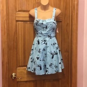 Baby blue and black cat Ixia juniors summer dress